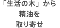 「生活の木」から精油を取り寄せ