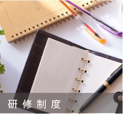 研修制度